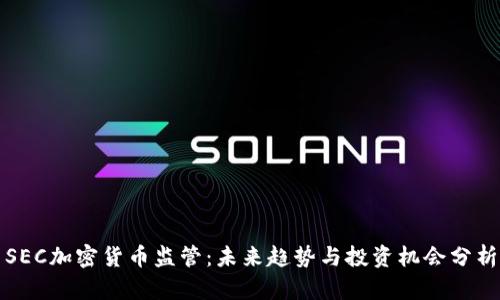 SEC加密货币监管：未来趋势与投资机会分析