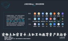 宠物鱼加密货币:鱼缸里的数字资产新趋势