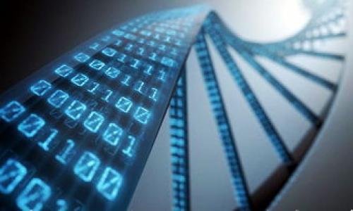 

提泰达币到TP钱包的到账时间和注意事项