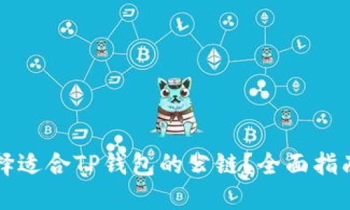 如何选择适合TP钱包的公链？全面指南及推荐