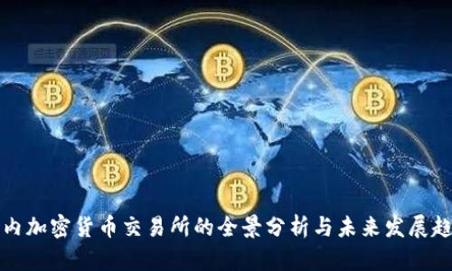 国内加密货币交易所的全景分析与未来发展趋势