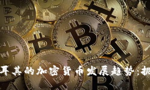 伊朗与土耳其的加密货币发展趋势:挑战与机遇