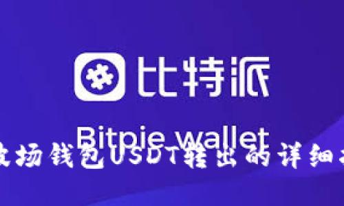TP波场钱包USDT转出的详细指南