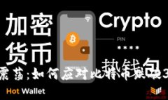 加密货币市场震荡:如何应对比特币跌破300美元