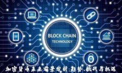 加密货币未来前景分析：趋势、挑战与机遇