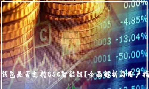 TP钱包是否支持BSC智能链？全面解析与用户指南