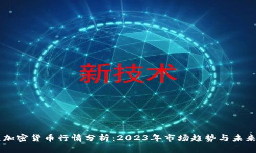 美元加密货币行情分析:2023年市场趋势与未来展望