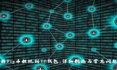 如何将Pig币提现到TP钱包:详细指南与常见问题解