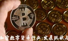 深入探讨加密数字货币行业：发展现状与未来趋
