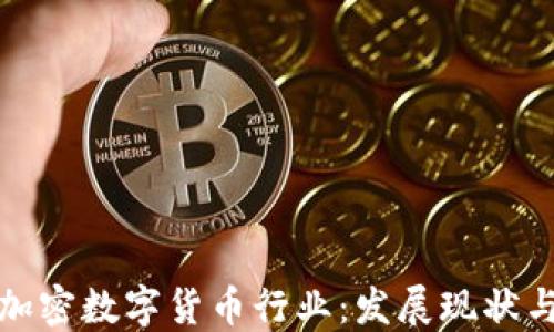 
深入探讨加密数字货币行业：发展现状与未来趋势