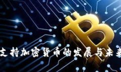 国家支持加密货币的发展与未来展望