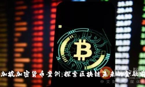 新加坡加密货币案例：探索区块链未来的金融前沿