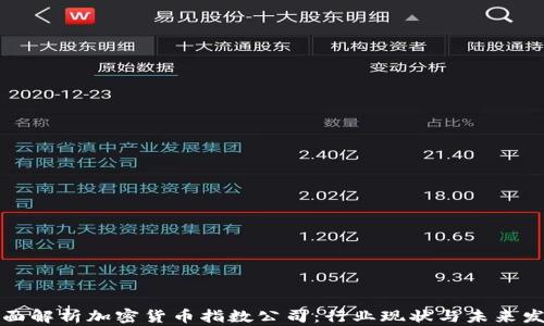 
全面解析加密货币指数公司：行业现状与未来发展