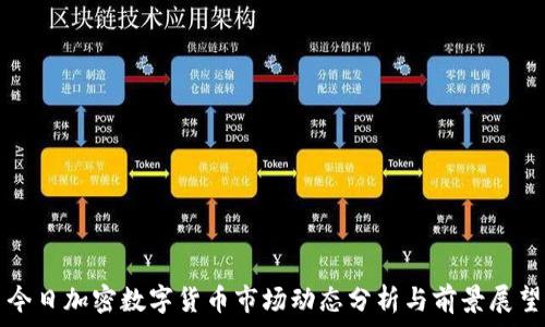 今日加密数字货币市场动态分析与前景展望