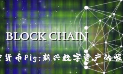 了解加密货币Pig：新兴数字资产的崛起与未来
