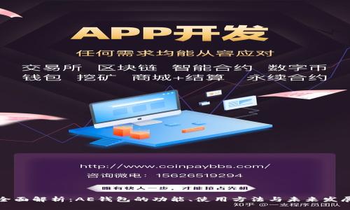 全面解析：AE钱包的功能、使用方法与未来发展