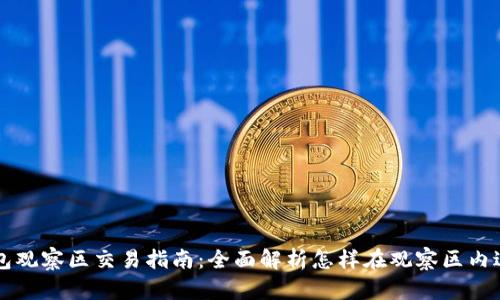: TP钱包观察区交易指南:全面解析怎样在观察区内进行交易