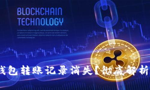 :为什么TP钱包转账记录消失?彻底解析及解决方案
