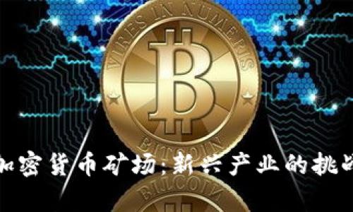 贵州的加密货币矿场：新兴产业的挑战与机遇