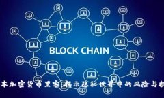 日本加密货币黑客：揭示隐秘世界中的风险与挑