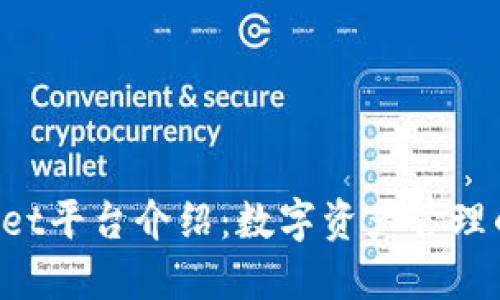TokenPocket平台介绍：数字资产管理的优选工具