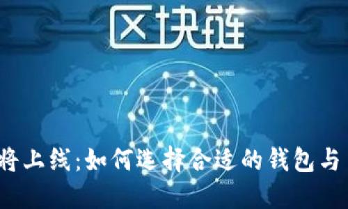 TP钱包即将上线:如何选择合适的钱包与币种投资?