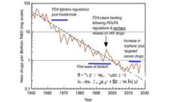 加密货币犯罪视频：揭开数字货币背后的黑暗面