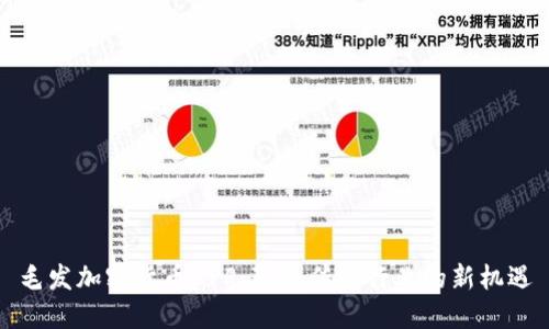 毛发加密货币APP：颠覆传统行业的新机遇