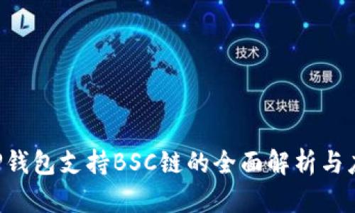 jiaotiTP钱包支持BSC链的全面解析与应用指南