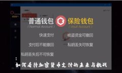 :如何看待加密货币支付的未来与挑战