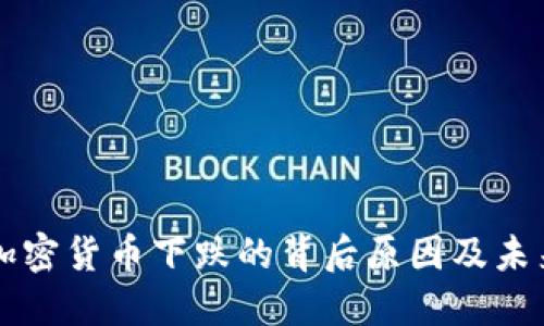 十大加密货币下跌的背后原因及未来展望