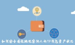   如何安全有效地观察他人的TP钱包资产状况