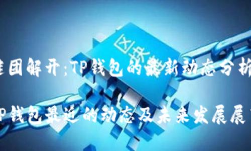 谜团解开：TP钱包的最新动态分析

TP钱包最近的动态及未来发展展望