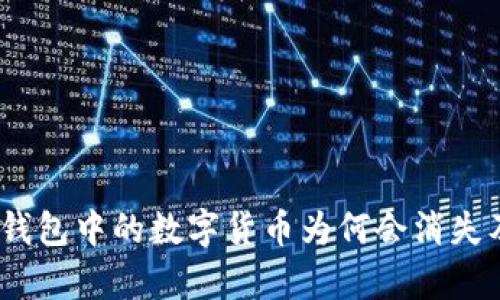 深入解析:TP钱包中的数字货币为何会消失及其预防措施