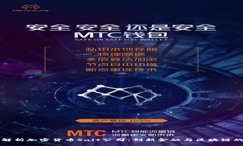 全面解析加密货币Salt公司：创新金融与区块链的未来