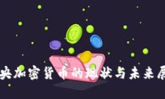 中央加密货币的现状与未来展望