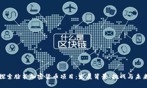 探索脸书加密货币项目:发展背景、挑战与未来