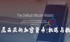 印尼西亚的加密货币:机遇与挑战
