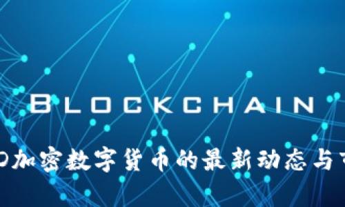 今天MSD加密数字货币的最新动态与市场分析
