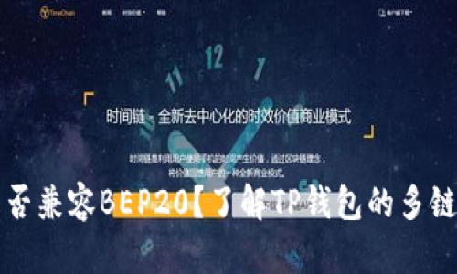 TP钱包是否兼容BEP20？了解TP钱包的多链支持能力