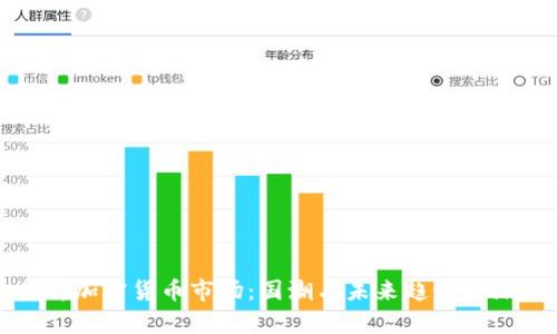全面分析加密货币市场:国潮与未来趋势的深入解读