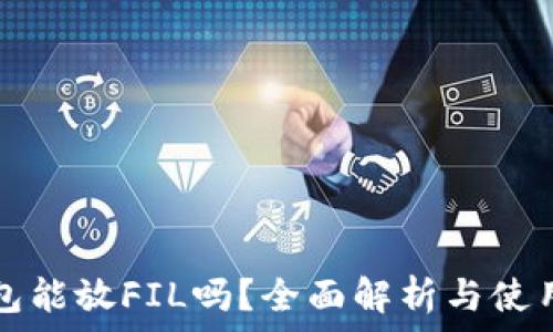 TP钱包能放FIL吗?全面解析与使用指南