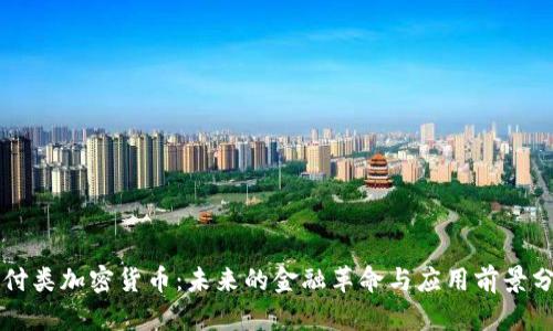 支付类加密货币:未来的金融革命与应用前景分析