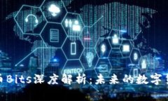 加密货币Bits深度解析:未来的数字货币选择