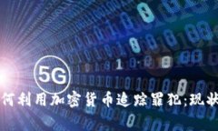 澳洲警方如何利用加密货币追踪罪犯:现状与未