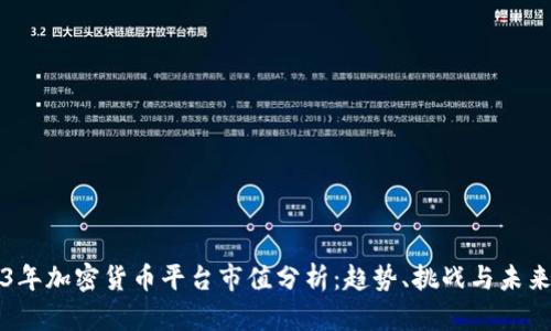 2023年加密货币平台市值分析:趋势、挑战与未来展望