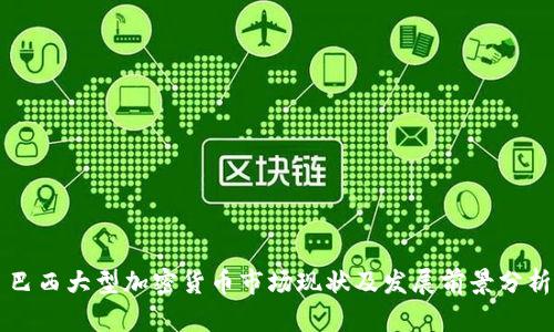 巴西大型加密货币市场现状及发展前景分析