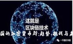 探秘韩国的加密货币群:趋势、挑战与未来展望