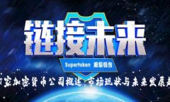 817家加密货币公司概述:市场现状与未来发展趋