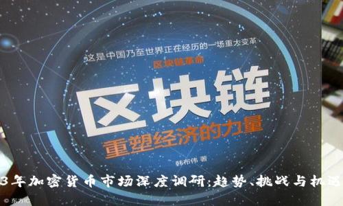 2023年加密货币市场深度调研:趋势、挑战与机遇解析